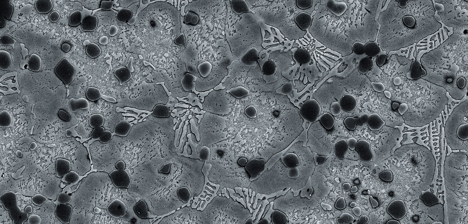 Iron-based cylinder wear protection